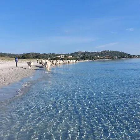 Hétvégi ház Immersa Nel Siniscola